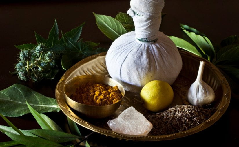 The rising demand for Ayurveda courses in Kerala